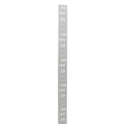 MONTAGEPROFIL 2M 75MM (Rexel)