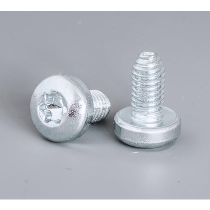 SKRUV FÖR SS M5 250 ST CNTS05 (Rexel)