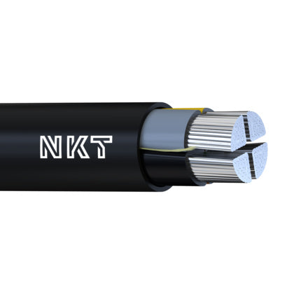 SE-N1XE-AR FleX 4G50  T500 (Rexel)