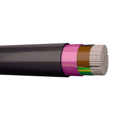 SE-N1XE-AS 4G50 T500 (Rexel)