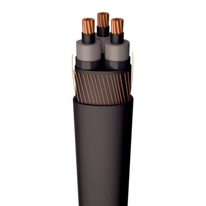 FXLJ-RMF-KOMBI 3x10/10 LT 12kV (Rexel)