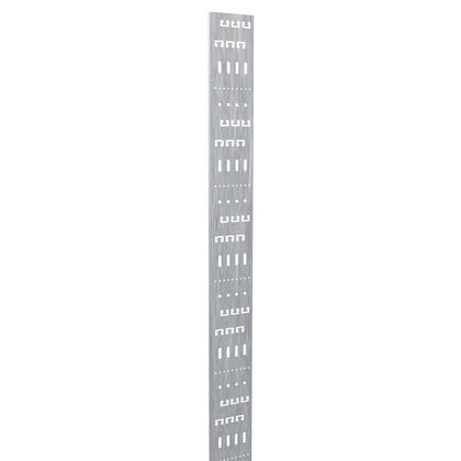 Montageprofil 2m 100mm Z4 (Rexel)