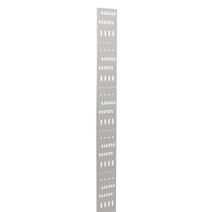 MONTAGEPROFIL 2M 100MM (Rexel)