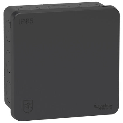 Kopplingsdosa IP65 2K Antracit (Rexel)