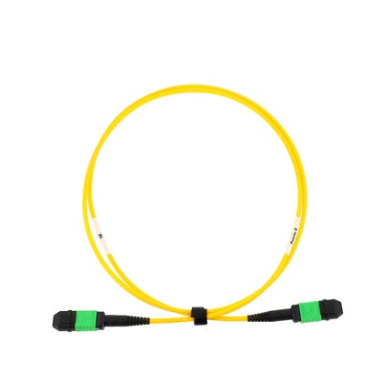 Patch 24F SM MPO/APC fem B 5m (Rexel)