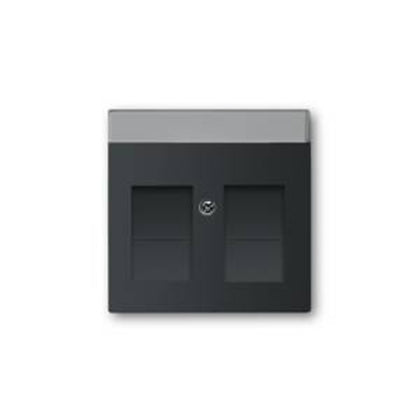 Centrumplatta 2xRJ45 matt sv (Rexel)