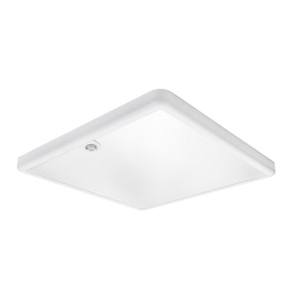 Arm Sense Surf 600x600 4K PIR (Rexel)