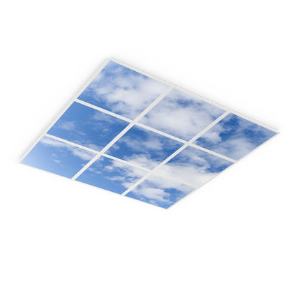 PANEL PRINT SKY DALI 600 33W 9 (Rexel)