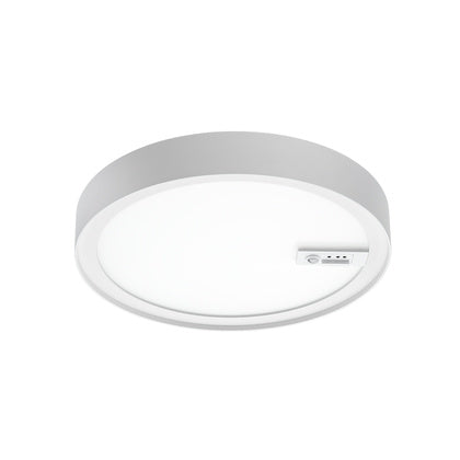 Arm Disc 290 Con V 3K Ra>90 (Rexel)