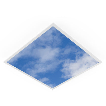 PANEL PRINT SKY DALI 600 26W (Rexel)