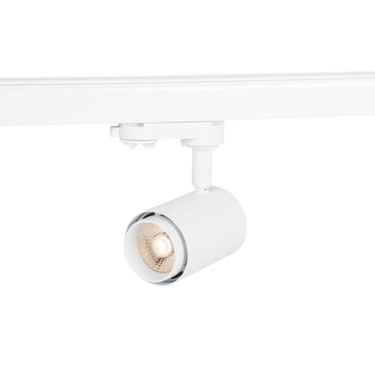 SPOTL Focus Micro 36° V Tune (Rexel)