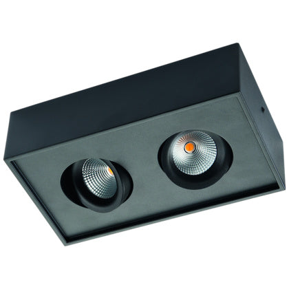Downl Cube DTW SV 2x6W LED (Rexel)