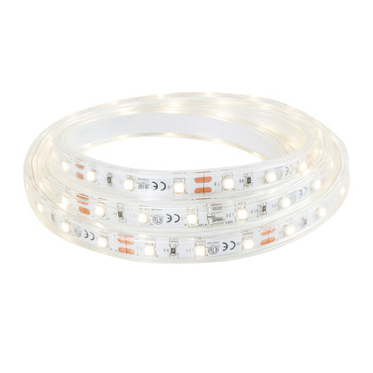 LED FLEXIBEL 12V IP67 3000K 5M (Rexel)
