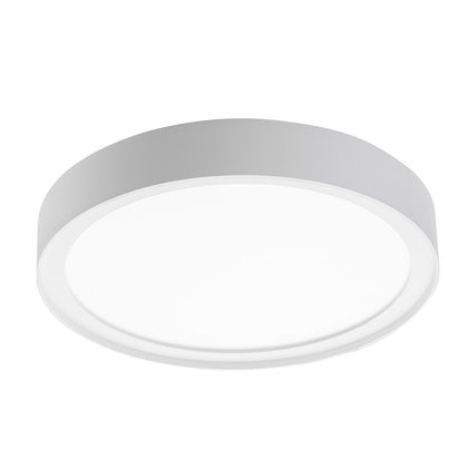 Arm Disc 290 Vit TW DALI DT8 (Rexel)