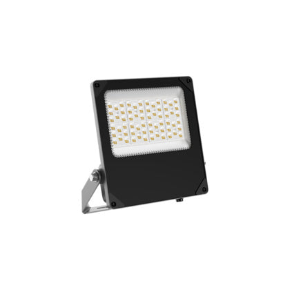 ARM exFlood G2 M AS 2CCT Flex (Rexel)