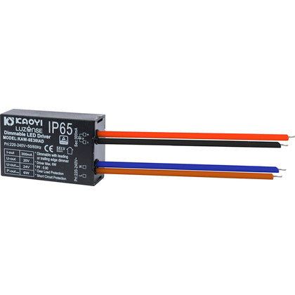 LED Driver 1x6W 300mA IB Dim (Rexel)