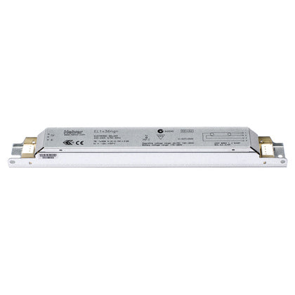 HF-Don T8 EL1x36ngn (Rexel)