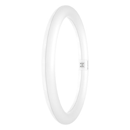 LEDLYSRÖR T9 32 18,3W 865 G10Q (Rexel)